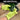 Microfiber Dusting Gloves Coral Fleece Fabric Elastic & Breathable Easy to Clean Dust from Car Boat and Plant Surfaces for Home