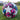 Training Football - Size 4 or Size 5