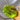 Squishy Green Apple Squishy Toys anti Stress Sensory Fidgets Toy Soft Simulated Transparent Slow-Rebound ADHD Autism Slow Toys