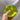 Squishy Green Apple Squishy Toys anti Stress Sensory Fidgets Toy Soft Simulated Transparent Slow-Rebound ADHD Autism Slow Toys